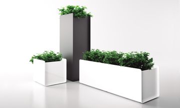 macetas con plantas